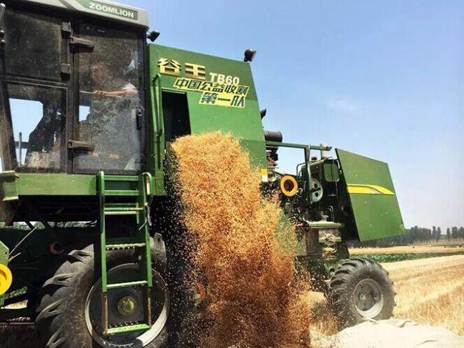 taptap开户-taptap体育注册